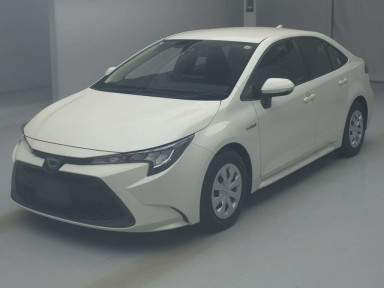 2019 Toyota Corolla Sedan