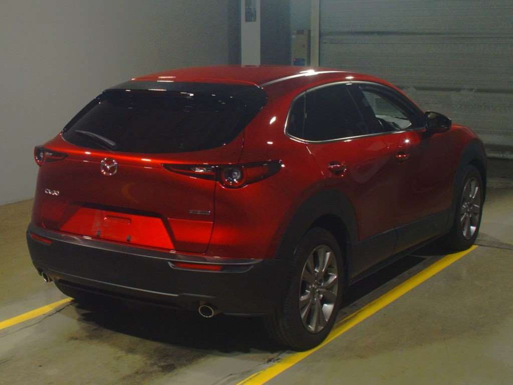 2019 Mazda CX-30 DM8P[1]