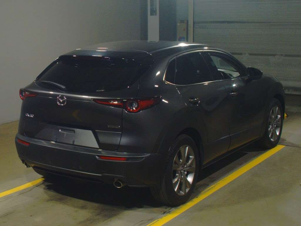 2020 Mazda CX-30 DMEP[1]