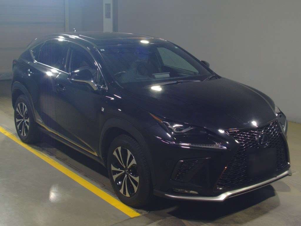 2019 Lexus NX AYZ15[2]