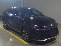 2019 Lexus NX