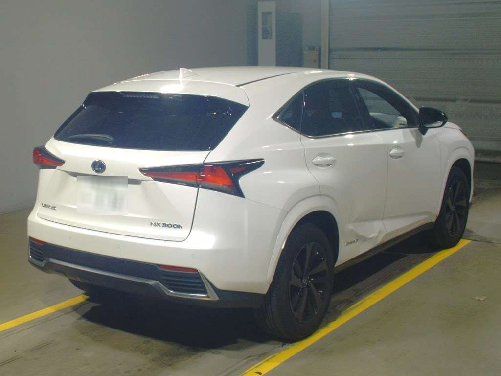 2021 Lexus NX AYZ10[1]