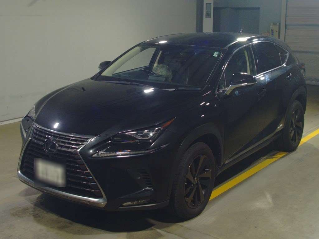 2019 Lexus NX AYZ10[0]