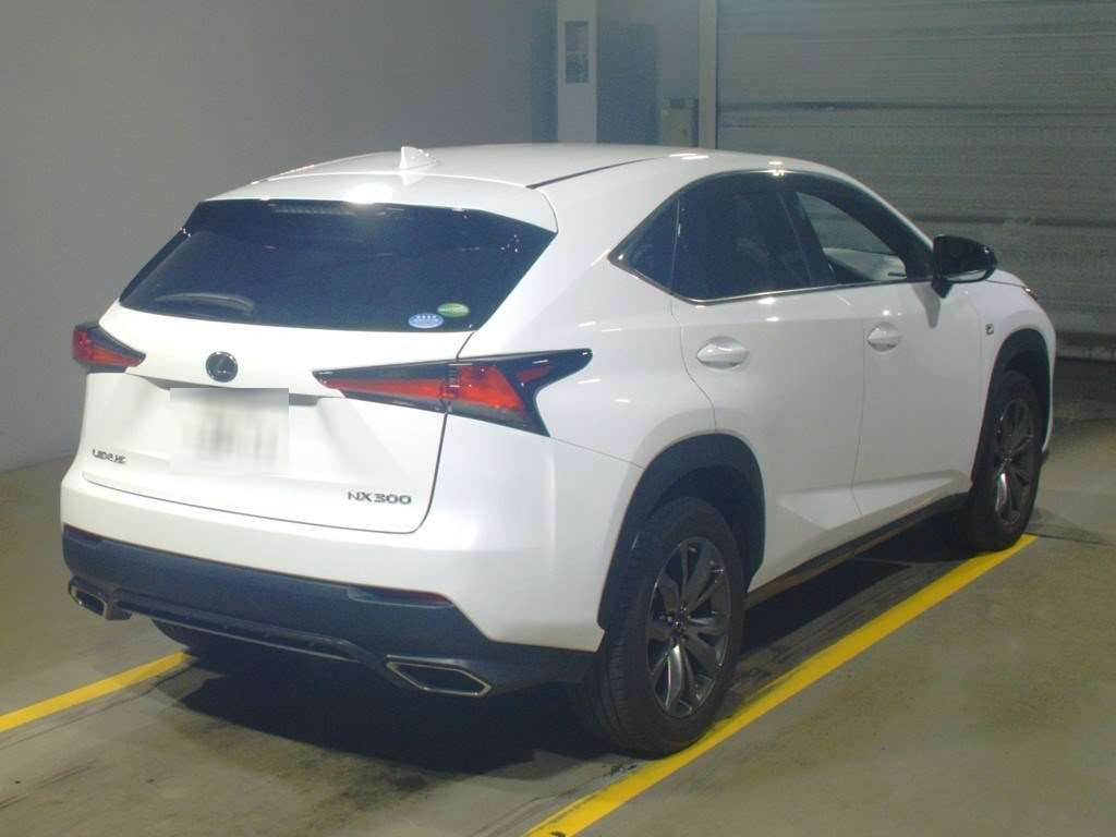 2019 Lexus NX AGZ15[1]