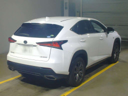 2019 Lexus NX