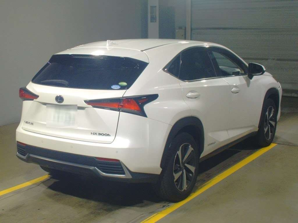 2018 Lexus NX AYZ15[1]