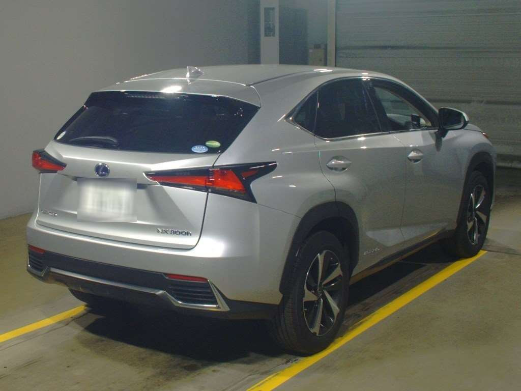 2018 Lexus NX AYZ10[1]