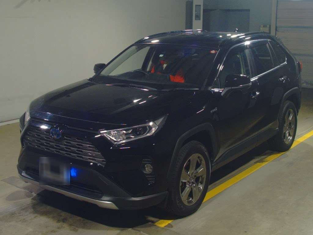 2019 Toyota RAV4 AXAH54[0]