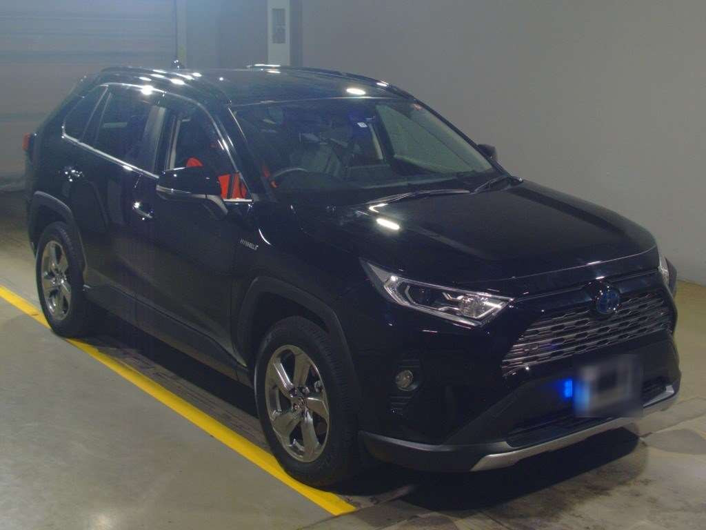 2019 Toyota RAV4 AXAH54[2]