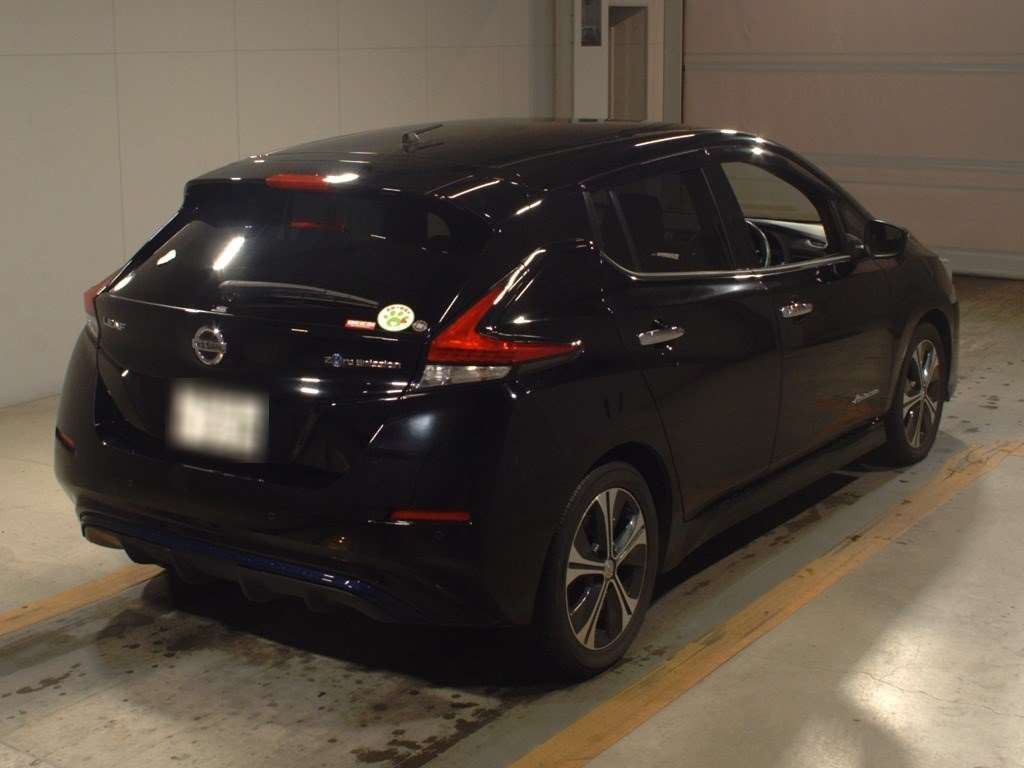 2019 Nissan Leaf ZE1[1]