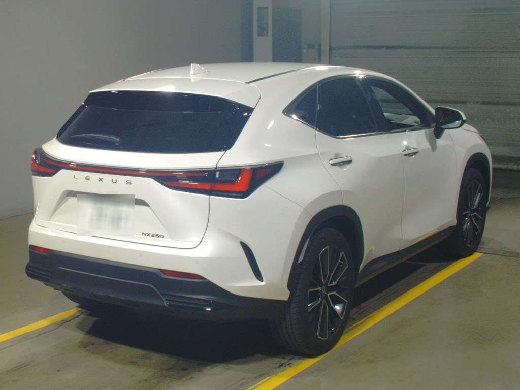 2022 Lexus NX AAZA20[1]