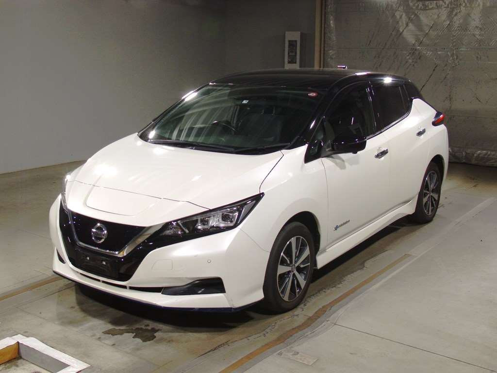 2019 Nissan Leaf ZE1[0]