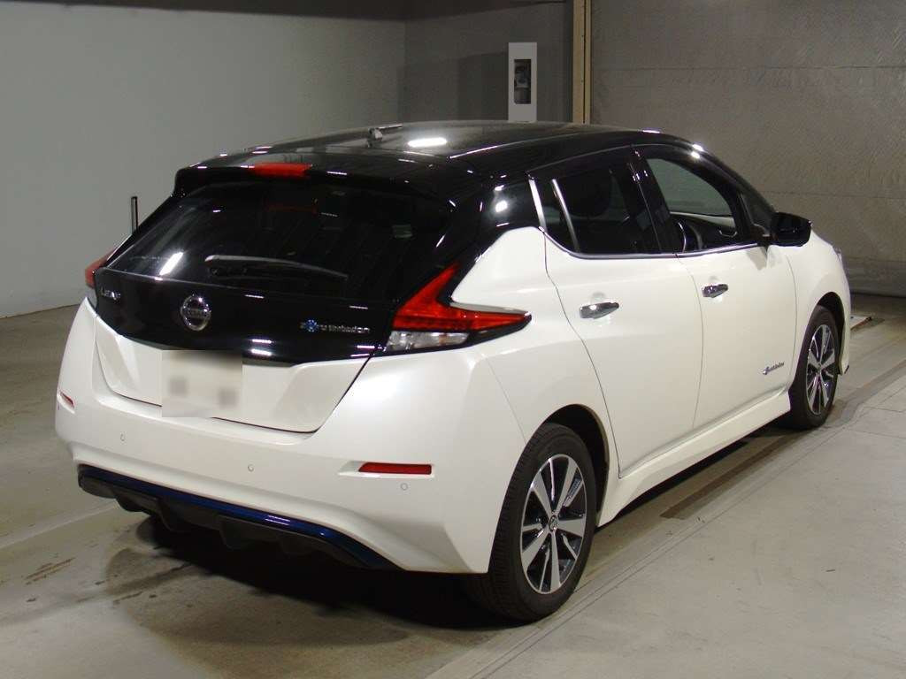 2019 Nissan Leaf ZE1[1]