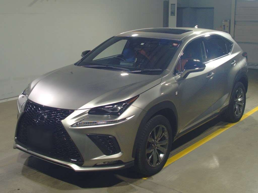 2019 Lexus NX AYZ15[0]