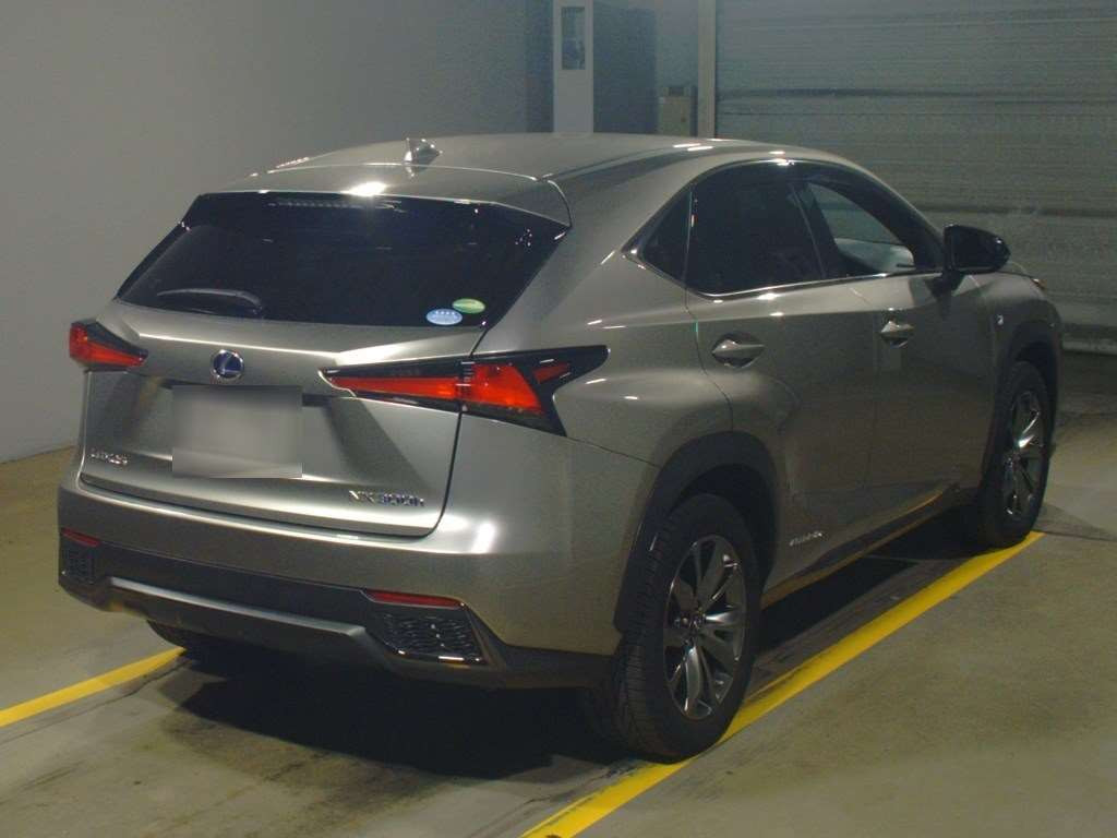 2019 Lexus NX AYZ15[1]