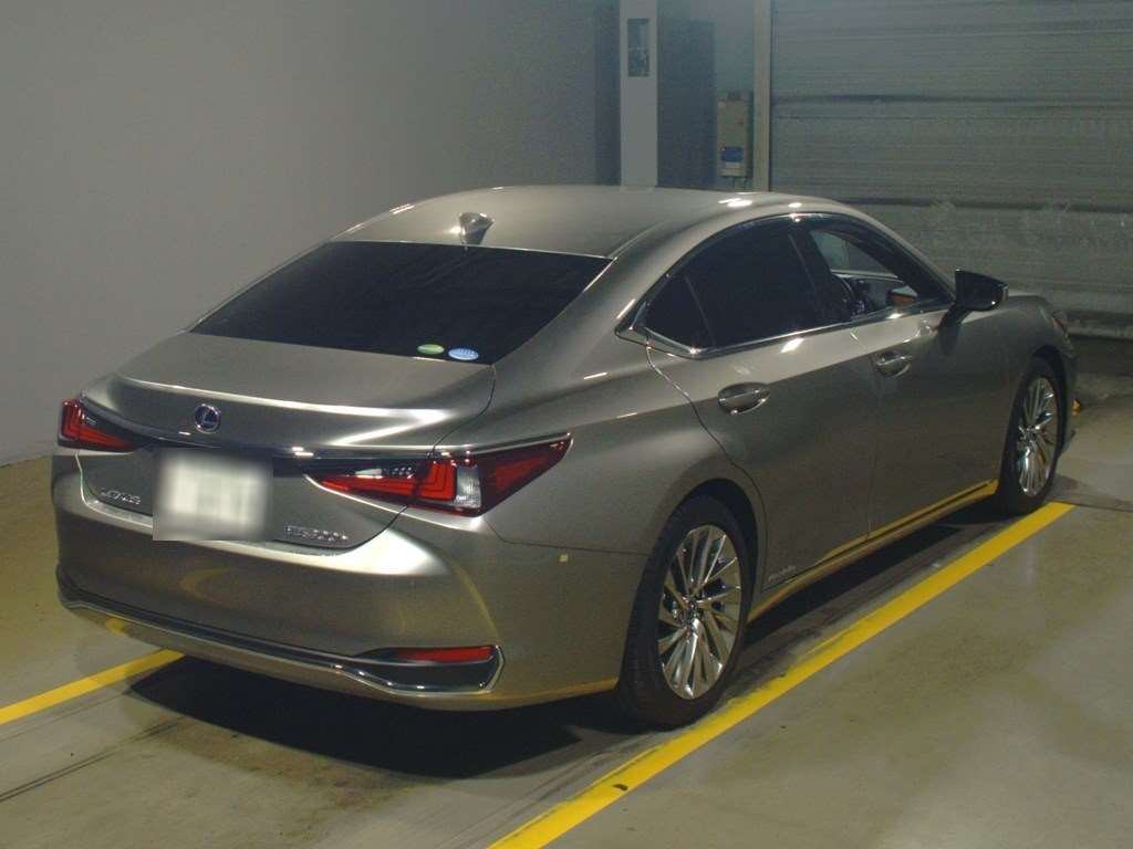 2020 Lexus ES AXZH10[1]