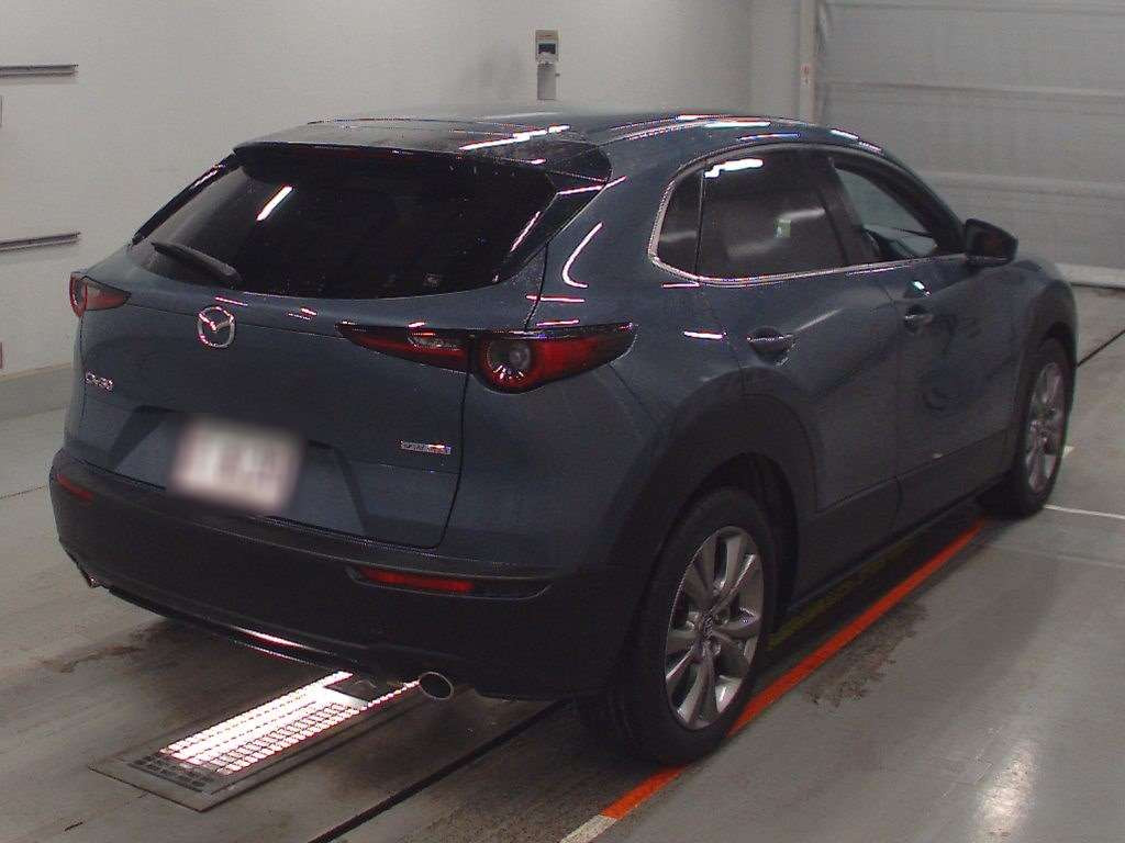 2019 Mazda CX-30 DMEP[1]