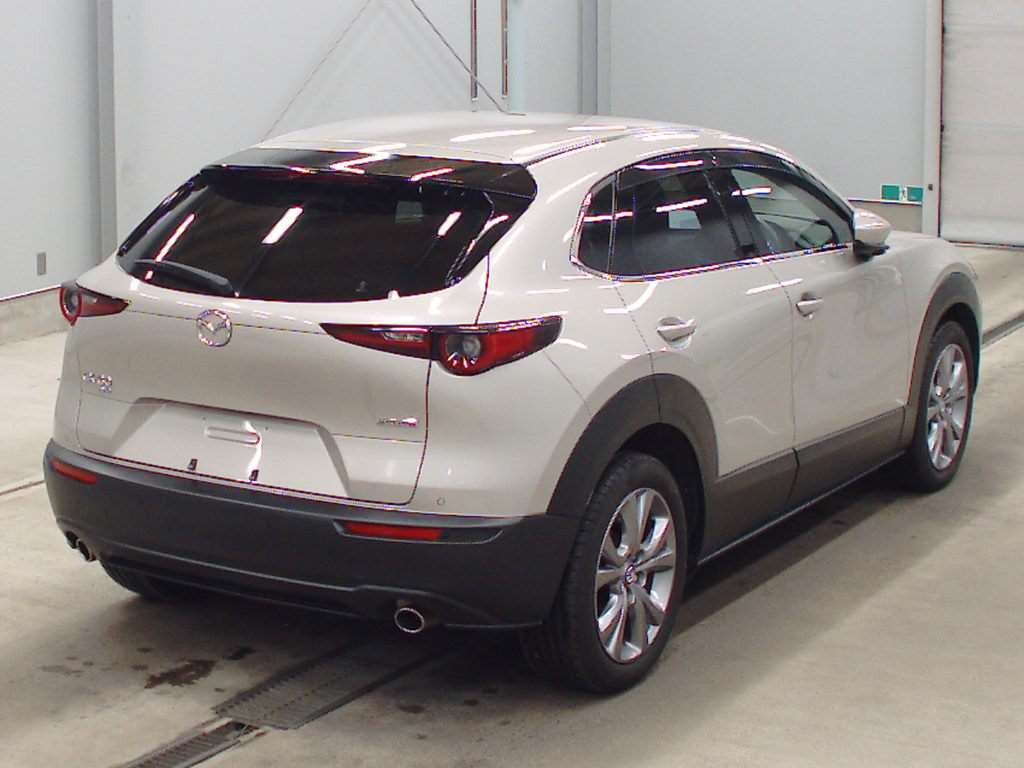 2021 Mazda CX-30 DMEP[1]