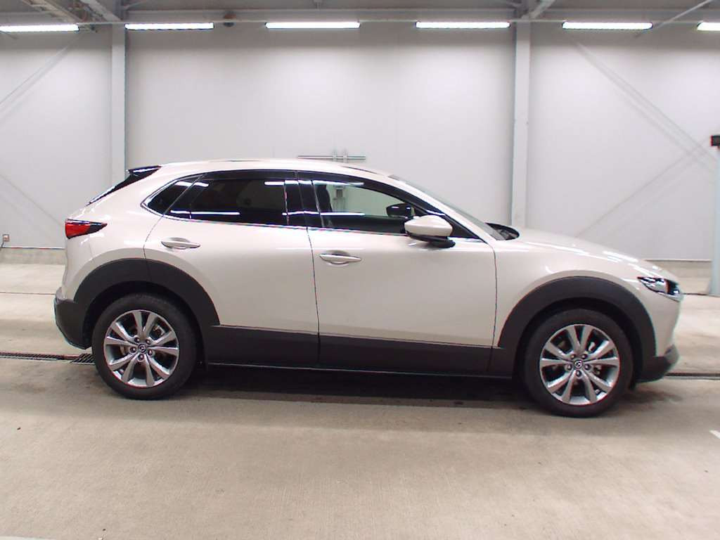 2021 Mazda CX-30 DMEP[2]