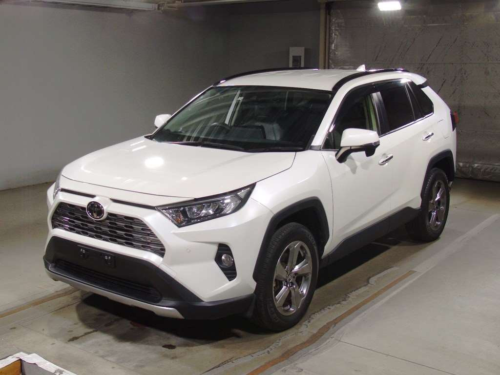 2019 Toyota RAV4 MXAA54[0]