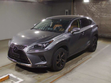 2019 Lexus NX