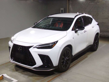 2021 Lexus NX