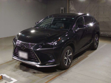 2021 Lexus NX