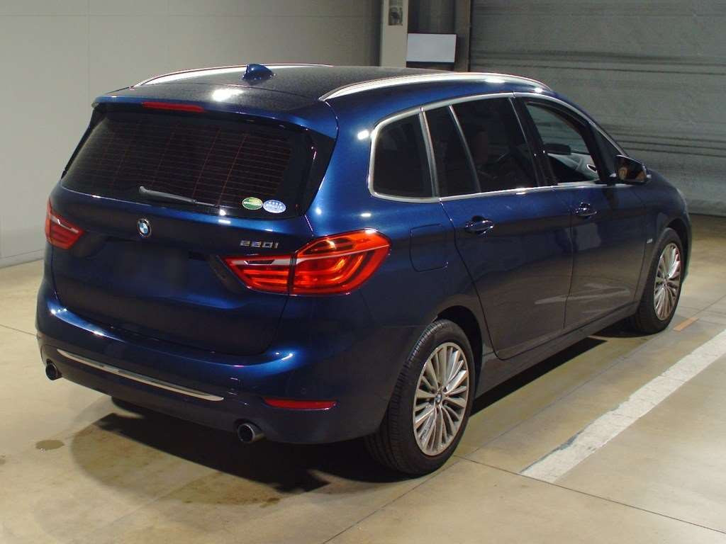 2016 BMW 2 Series 2D20[1]