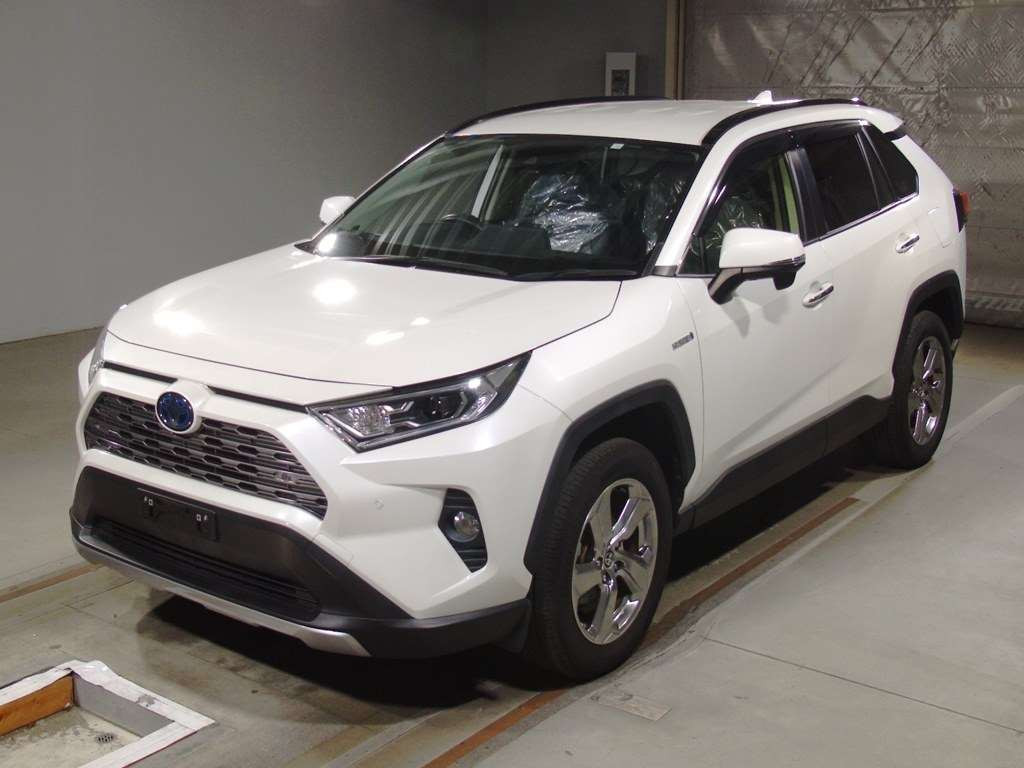 2020 Toyota RAV4 AXAH54[0]