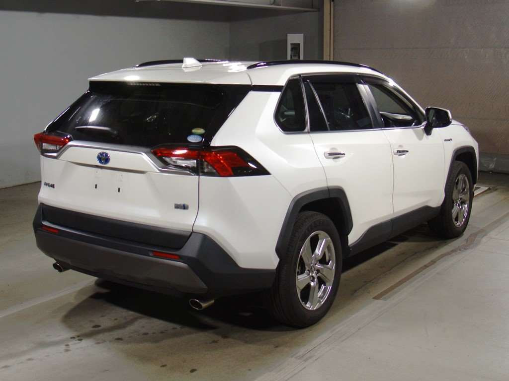 2020 Toyota RAV4 AXAH54[1]