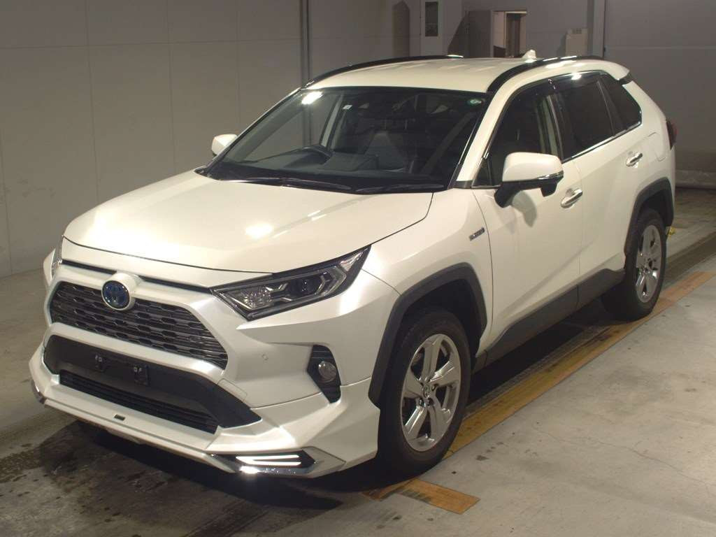 2020 Toyota RAV4 AXAH54[0]