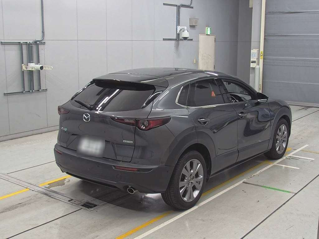 2020 Mazda CX-30 DMEP[1]