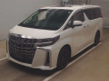 2020 Toyota Alphard