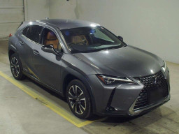 2021 Lexus UX