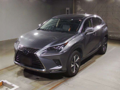 2019 Lexus NX