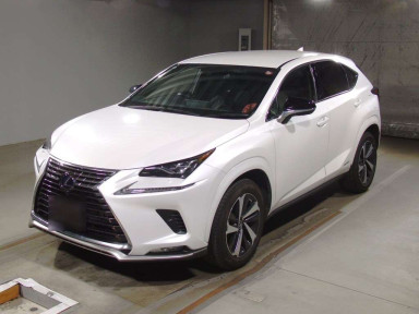 2020 Lexus NX