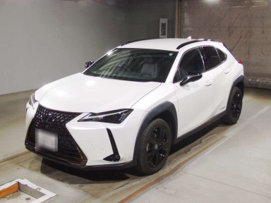 2021 Lexus UX