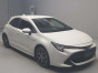 2019 Toyota Corolla Sports