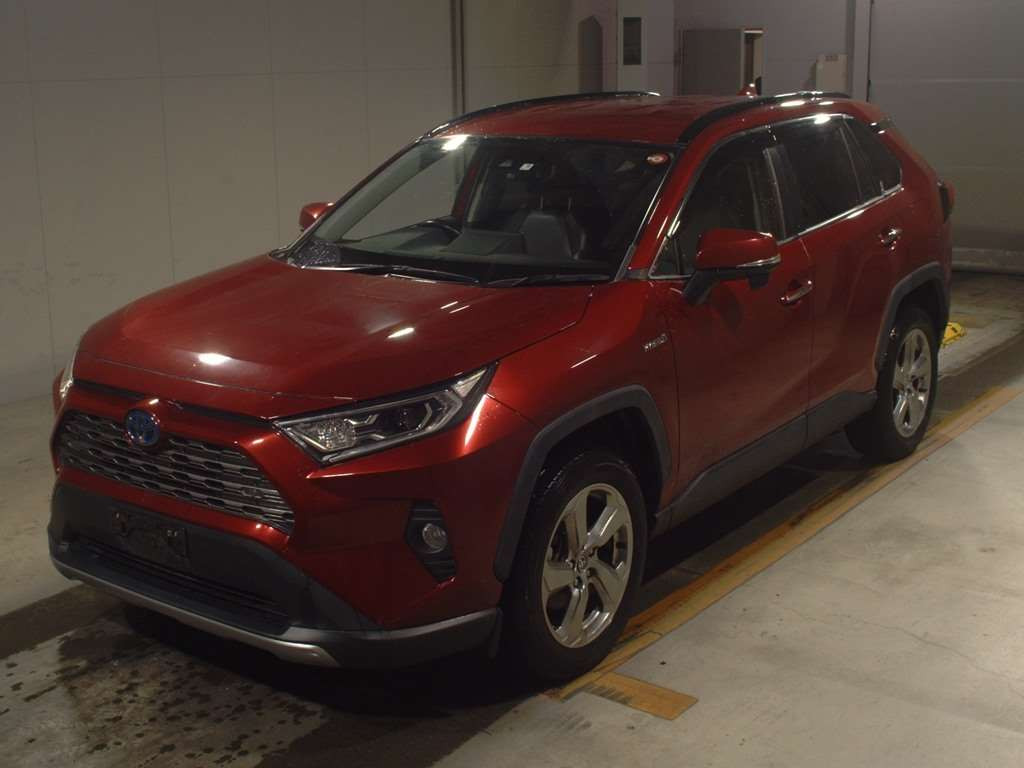 2019 Toyota RAV4 AXAH54[0]