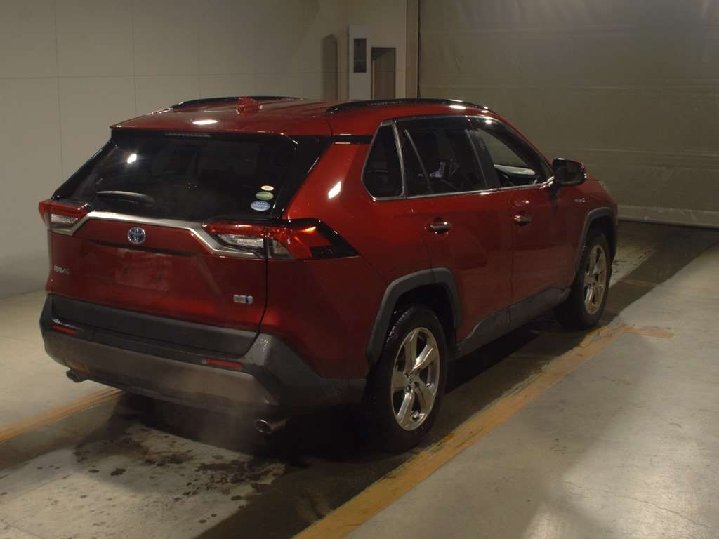 2019 Toyota RAV4 AXAH54[1]