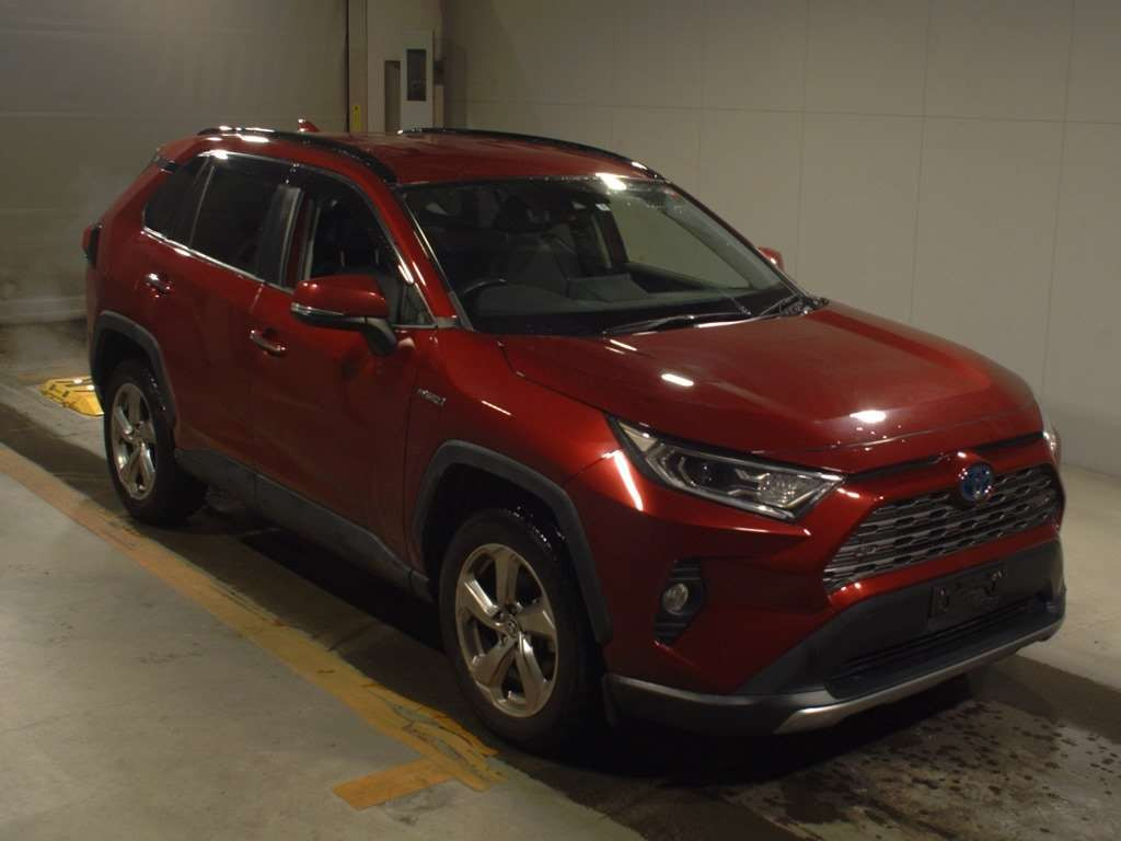 2019 Toyota RAV4 AXAH54[2]