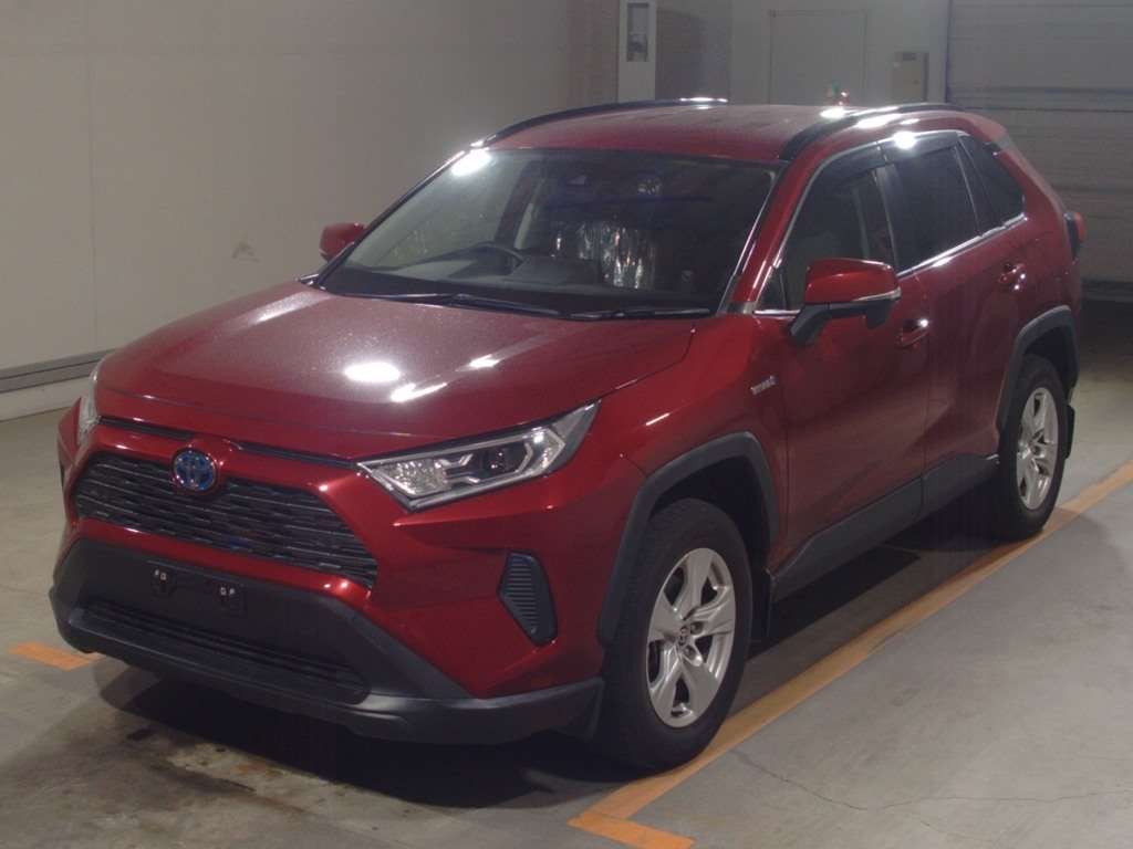 2019 Toyota RAV4 AXAH54[0]