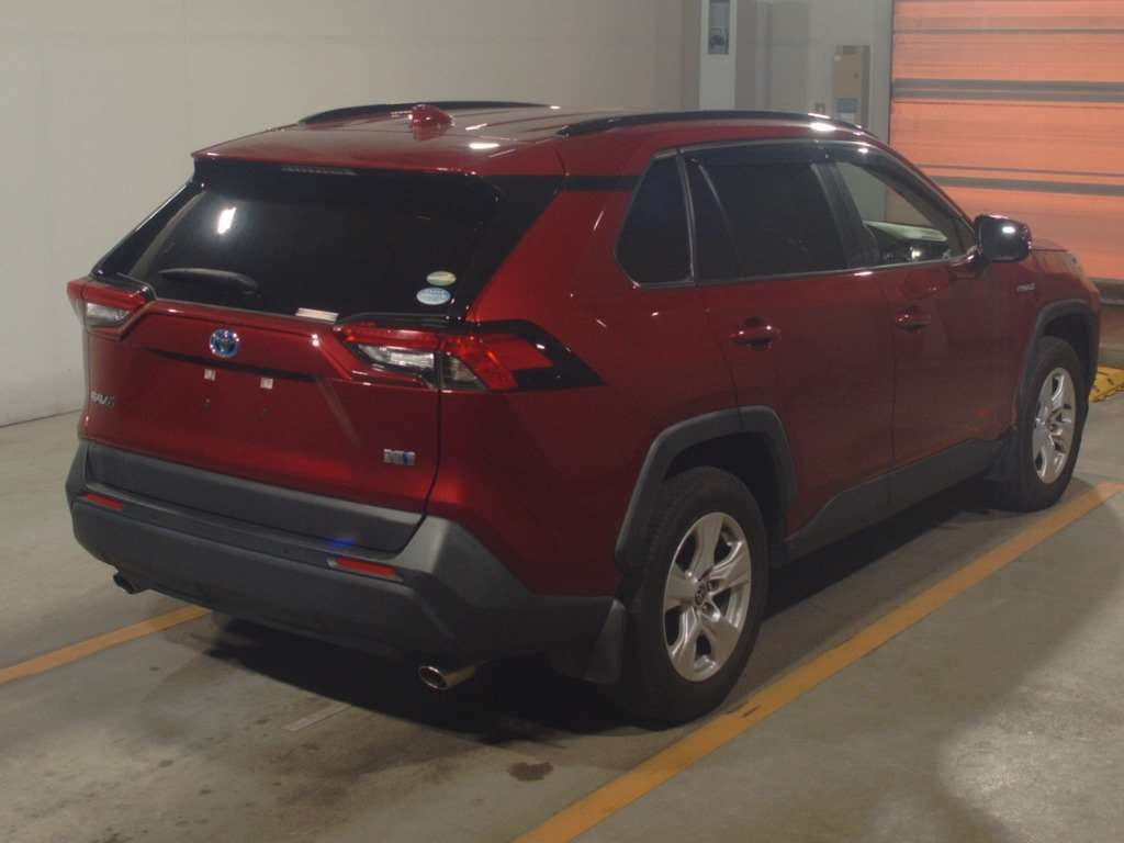 2019 Toyota RAV4 AXAH54[1]