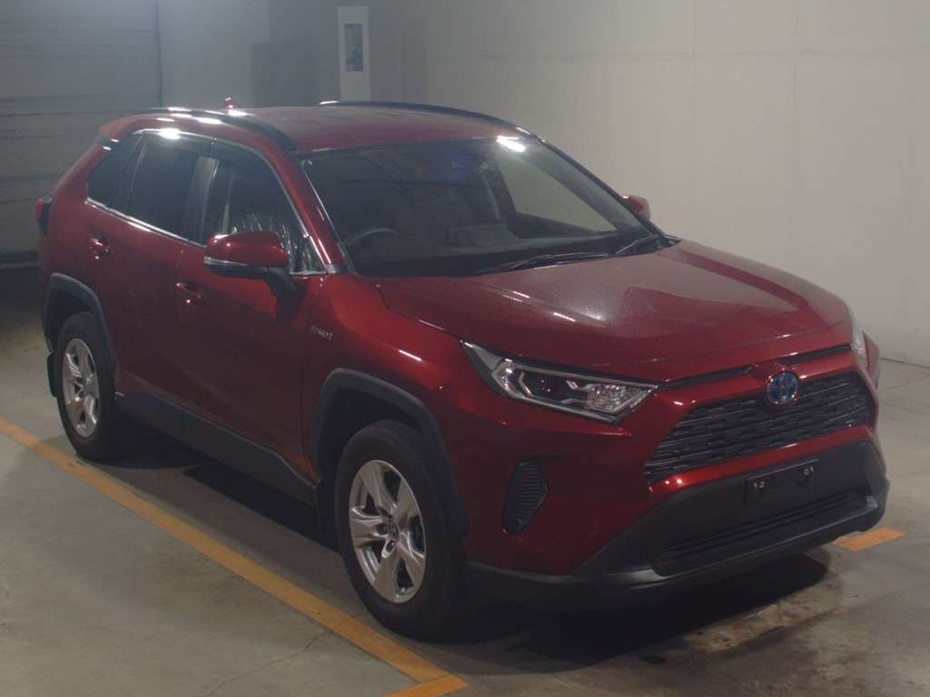 2019 Toyota RAV4 AXAH54[2]