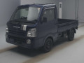 2019 Suzuki Carry Truck