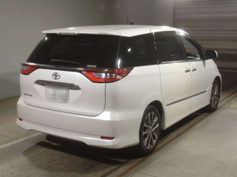 2019 Toyota Estima ACR50W[1]