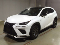 2020 Lexus NX