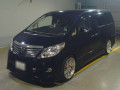 2010 Toyota Alphard