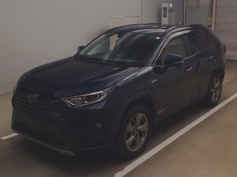 2019 Toyota RAV4 AXAH54[0]