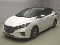 2019 Nissan Leaf